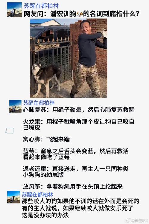 澳门香港 第10页